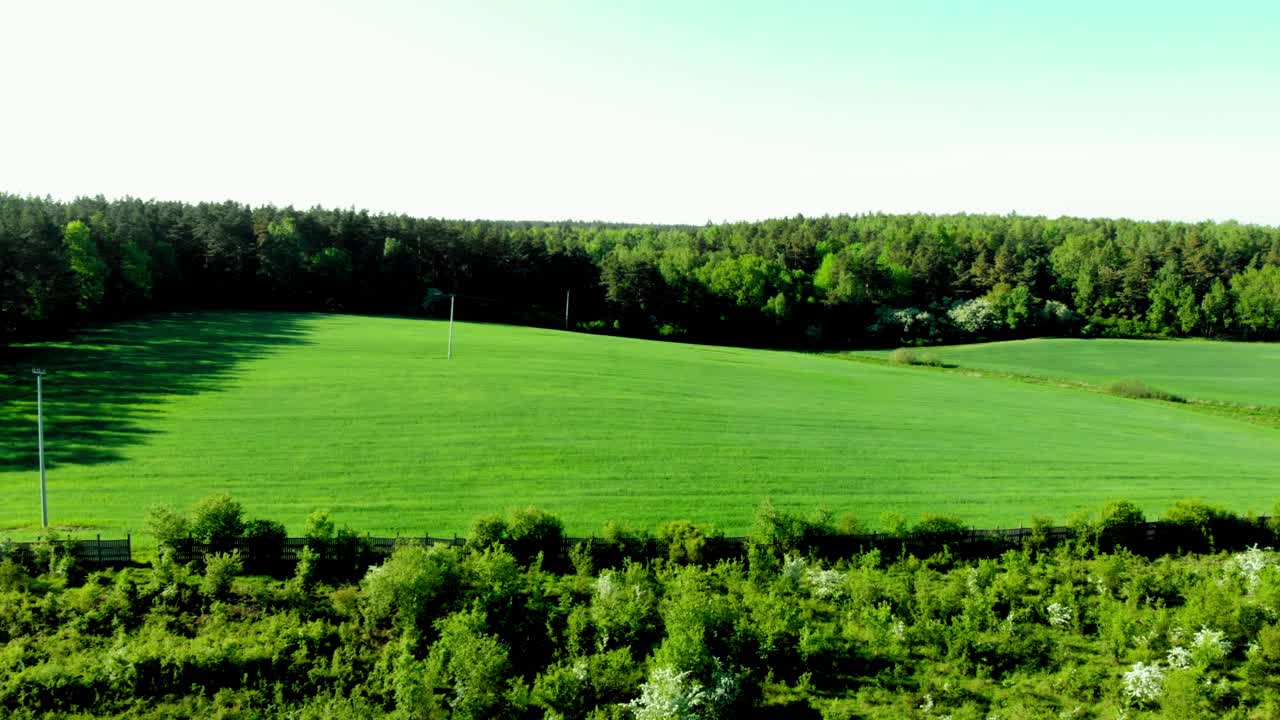폴란드의 포메라니안 지구에 있는 초원의 드론 샷