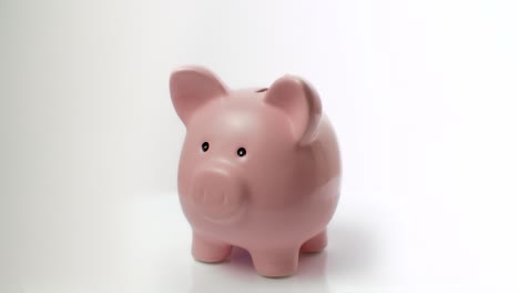 Piggy-Bank-on-White-Background-2