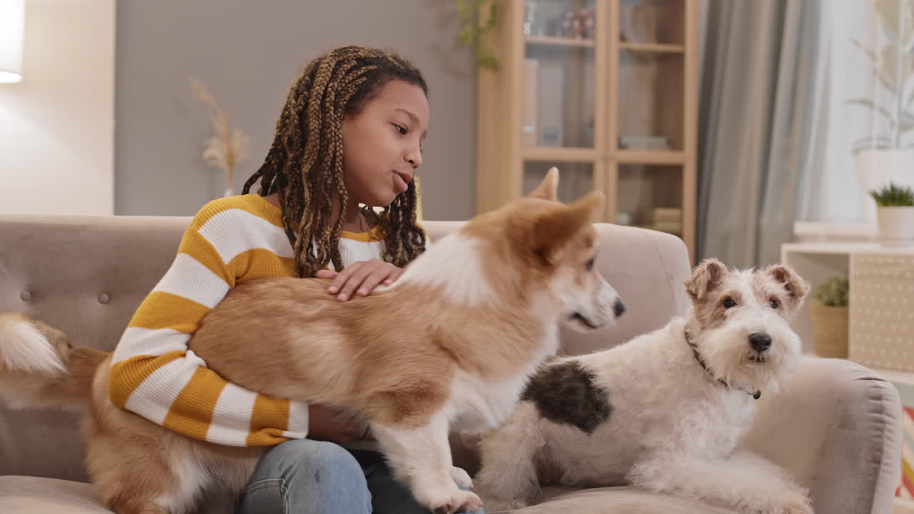 chica con dos perros en el sofá