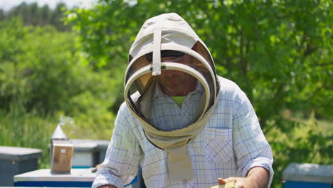 male apiarist takes honeycomb frame with bare hands. fearless beekeeper inspecting honey harvest wearing protective hat and usual clothes.