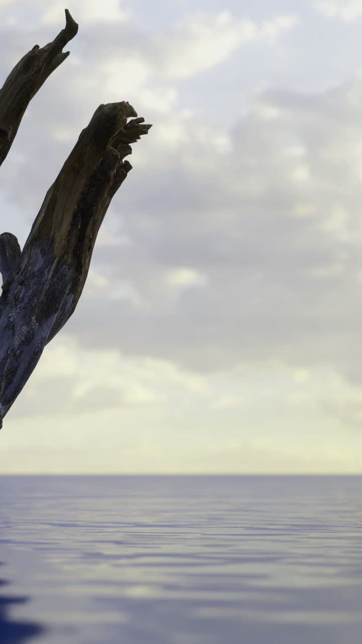 Struttura in legno che si erge da acqua calma sotto un cielo nuvoloso di sera.