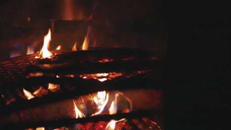 Grilling-juicy-reindeer-strips-close-up-over-flaming-barbecue-campfire-at-night