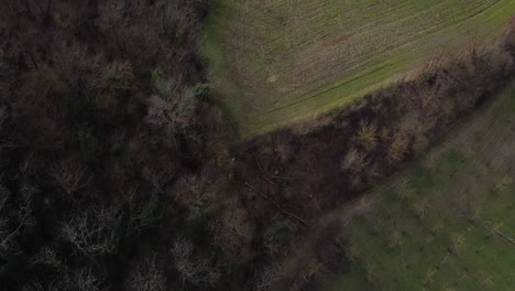 aerial flying drone shot over prehistoric age canyons valley le balze natural reserve near reggello. tuscany, chianti area. italy. winter season, partially sunny sunset