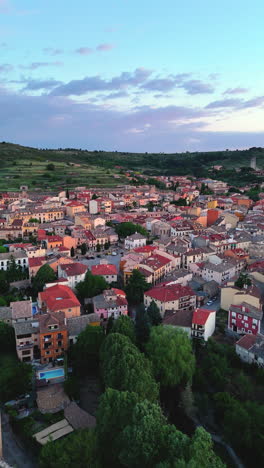 vertical drone shot flying forward over brihuega, a traditional spanish village, capturing rooftops, hills and the surrounding countryside in soft morning light. peaceful rural scenery