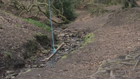 A-children's-tree-swing-swinging-in-a-quiet-woodland-area