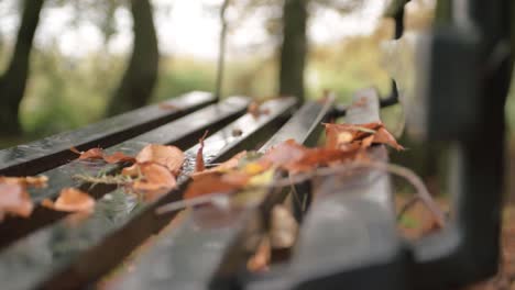 hojas de otoño cayendo sobre un banco del parque.