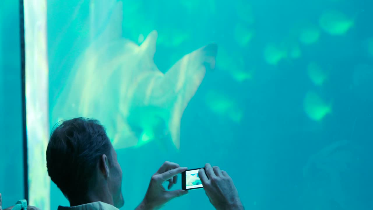 familia feliz mirando el tanque de peces