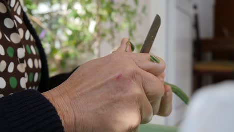 cerca de anciana preparando verduras tradicionalmente en cámara lenta