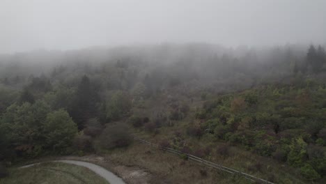 Captura-El-Ambiente-Encantador-De-Un-Denso-Bosque-Brumoso-Y-Pastizales-Ubicados-Dentro-De-Las-Serenas-Montañas