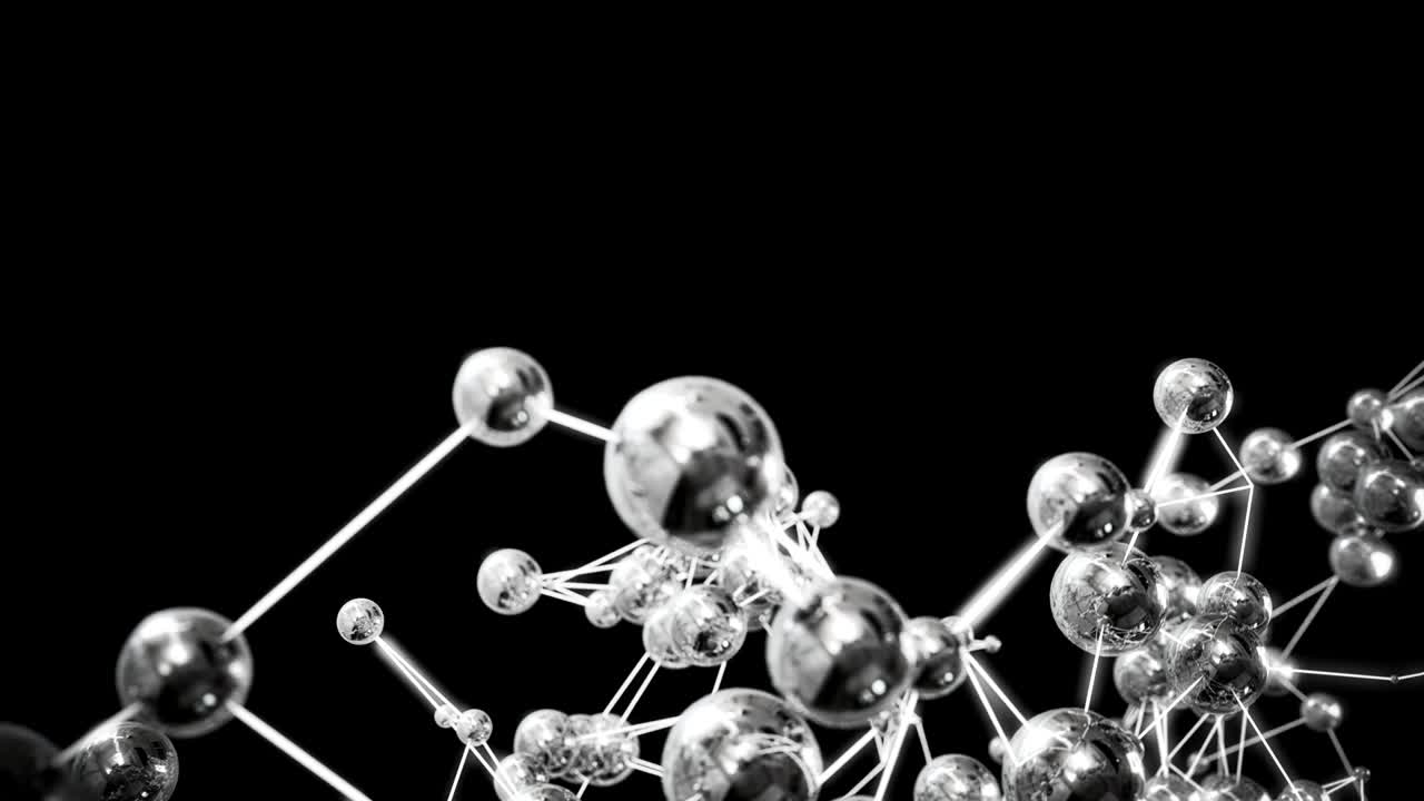 분자 네트워크입니다.