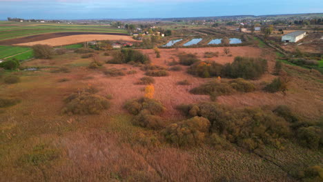 stunning drone photo of a polish countryside meadow at sunset, showcasing distant ponds and fields in autumn