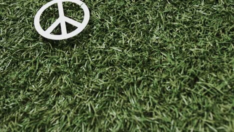 close up of white peace sign with copy space on grass background