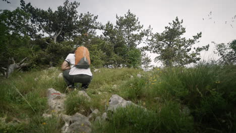 Hiker-walking-away-from-the-camera,-stops-at-some-point-ana-squats-to-admire-a-flower-growing-at-the-edge-of-a-path-on-mountain-Trstelj