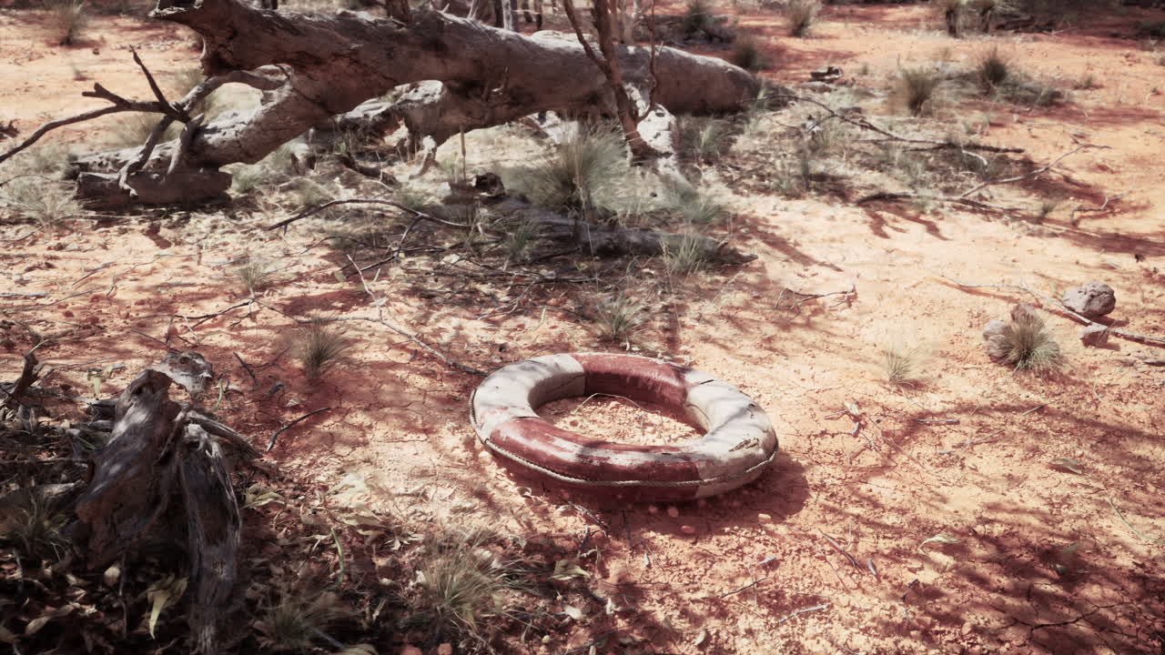 life ring buoy in desert beach