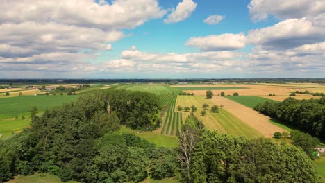 Luftaufnahme-Mit-Der-Landschaftsgeometriestruktur-Vieler-Landwirtschaftlicher-Felder-Mit-Verschiedenen-Pflanzen-Wie-Raps-In-Der-Blütezeit-Und-Grünem-Weizen