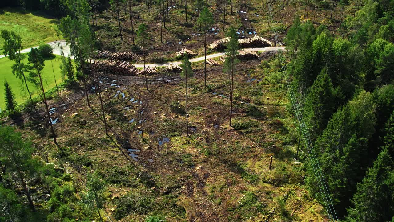 Aerial reveal shot of Deforestation in Sweden in the late afternoon