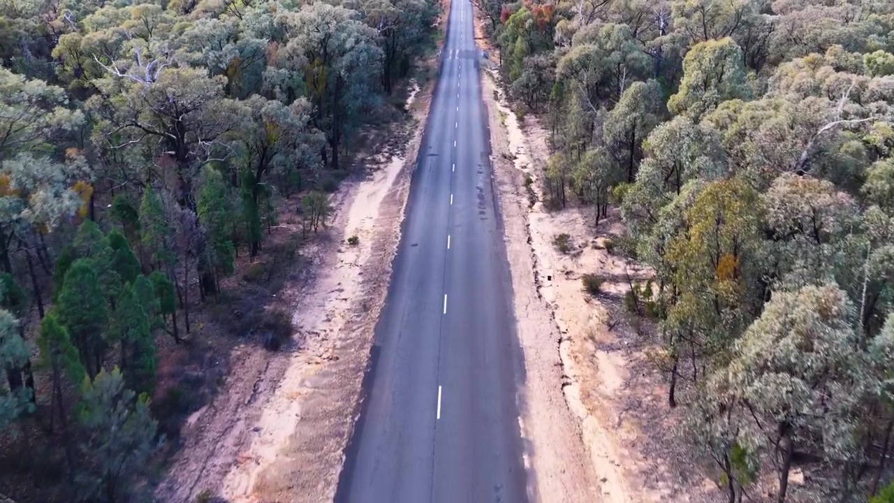 Højvinkel droneoptagelse af en lige vej, der skærer gennem tæt australsk bushland i Goonoo Skoven.