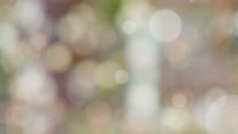 abstract spring background with bokeh