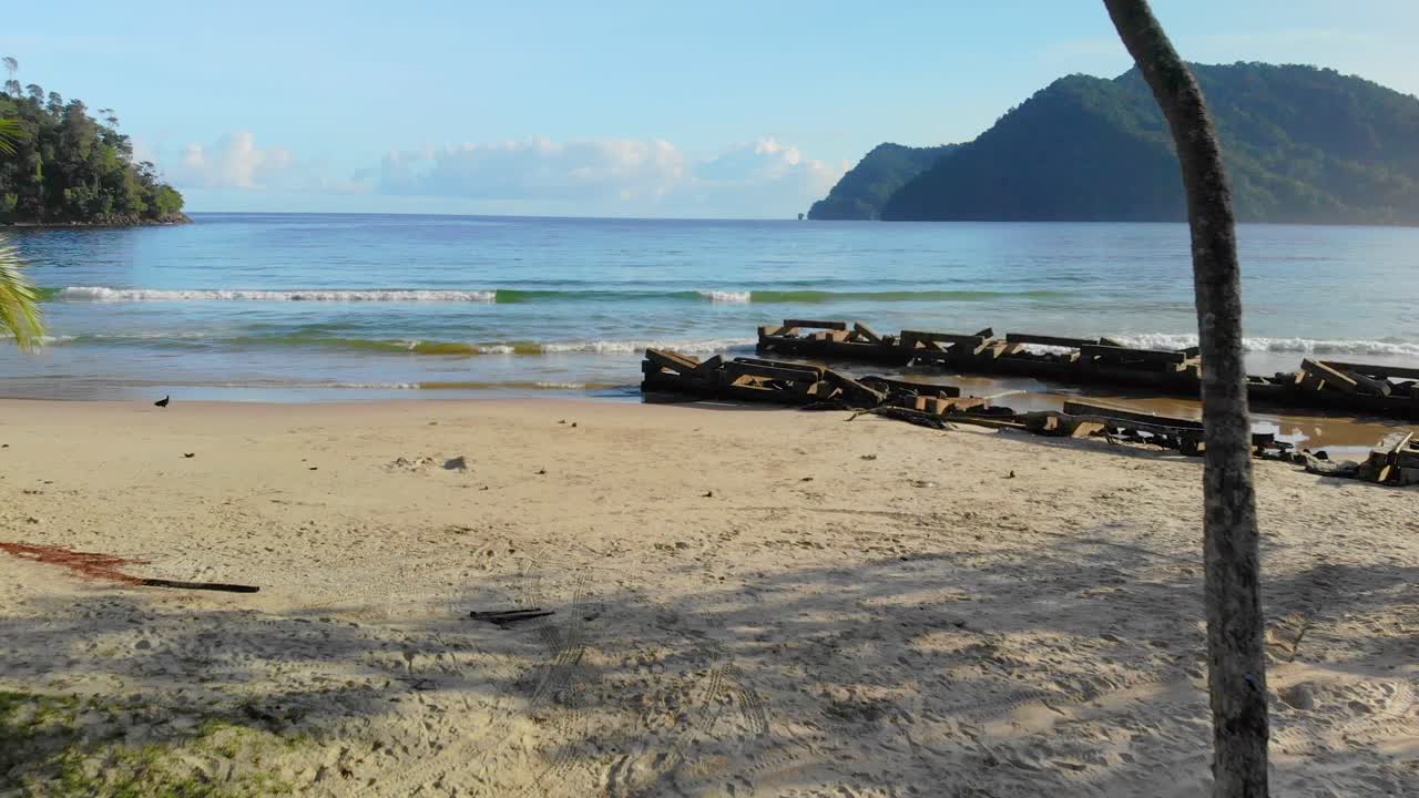 vuela a través de los cocoteros hasta la hermosa y relajante playa soleada de maracas bay en trinidad