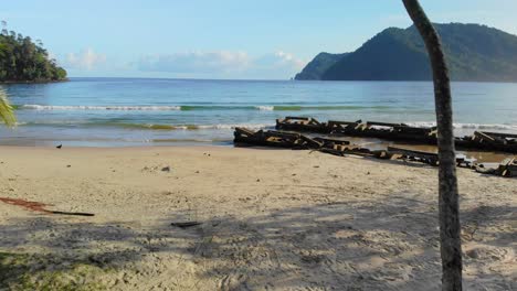 Fliegen-Sie-Durch-Kokospalmen-Zum-Wunderschönen,-Entspannenden,-Sonnigen-Strand-Der-Bucht-Von-Maracas-In-Trinidad