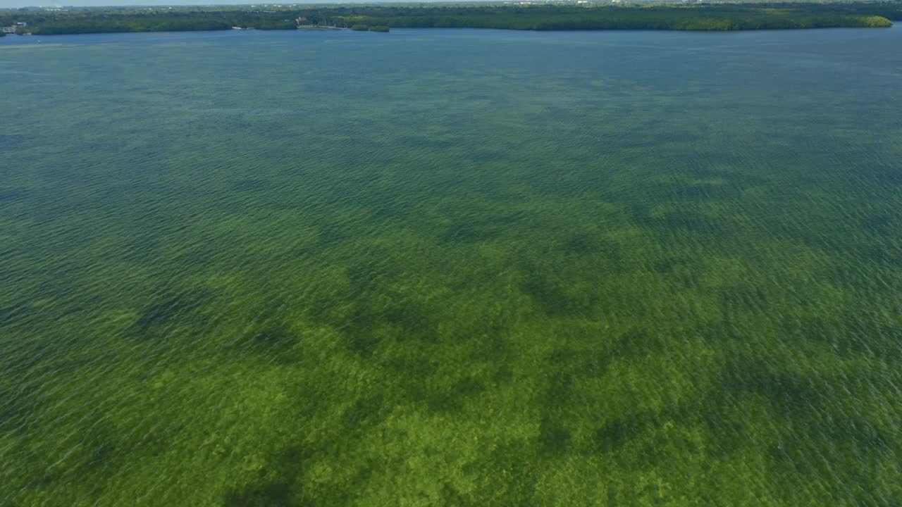 Calmo lago d'acqua dolce con acqua limpida che permette di vedere le piante sott'acqua, accompagnato da una costa alberata in lontananza sotto un cielo sereno in una giornata di sole