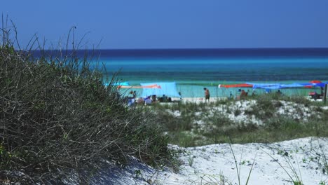 Paisaje-De-Playa-De-Verano-Junto-Al-Océano