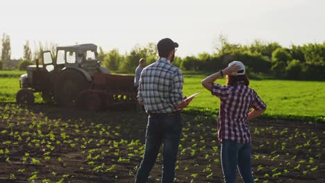 two farmers talk in the field, use a tablet