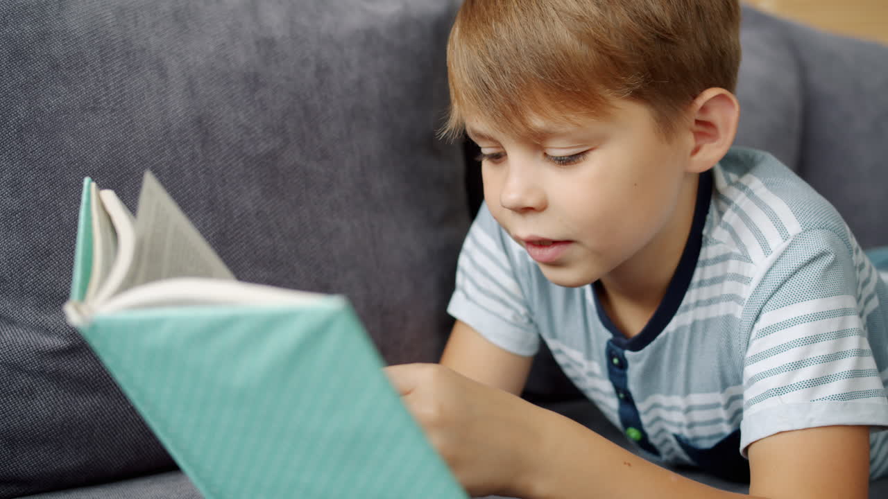 Boy Reading a Book on a Couch