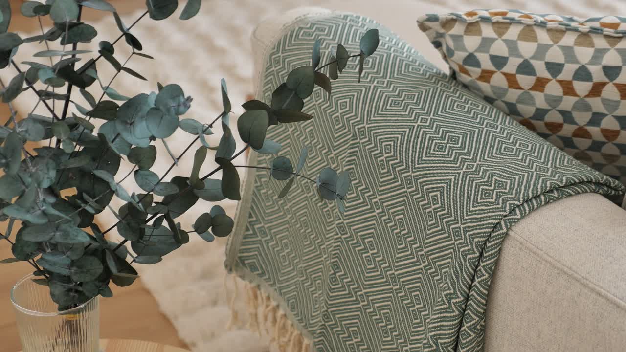 Cozy Living Room with Throw Blanket and Eucalyptus