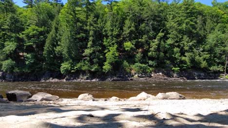 Slow-panning-shot-of-tranquil-river-with-beautiful-forest-trees-and-blue-sky-in-background