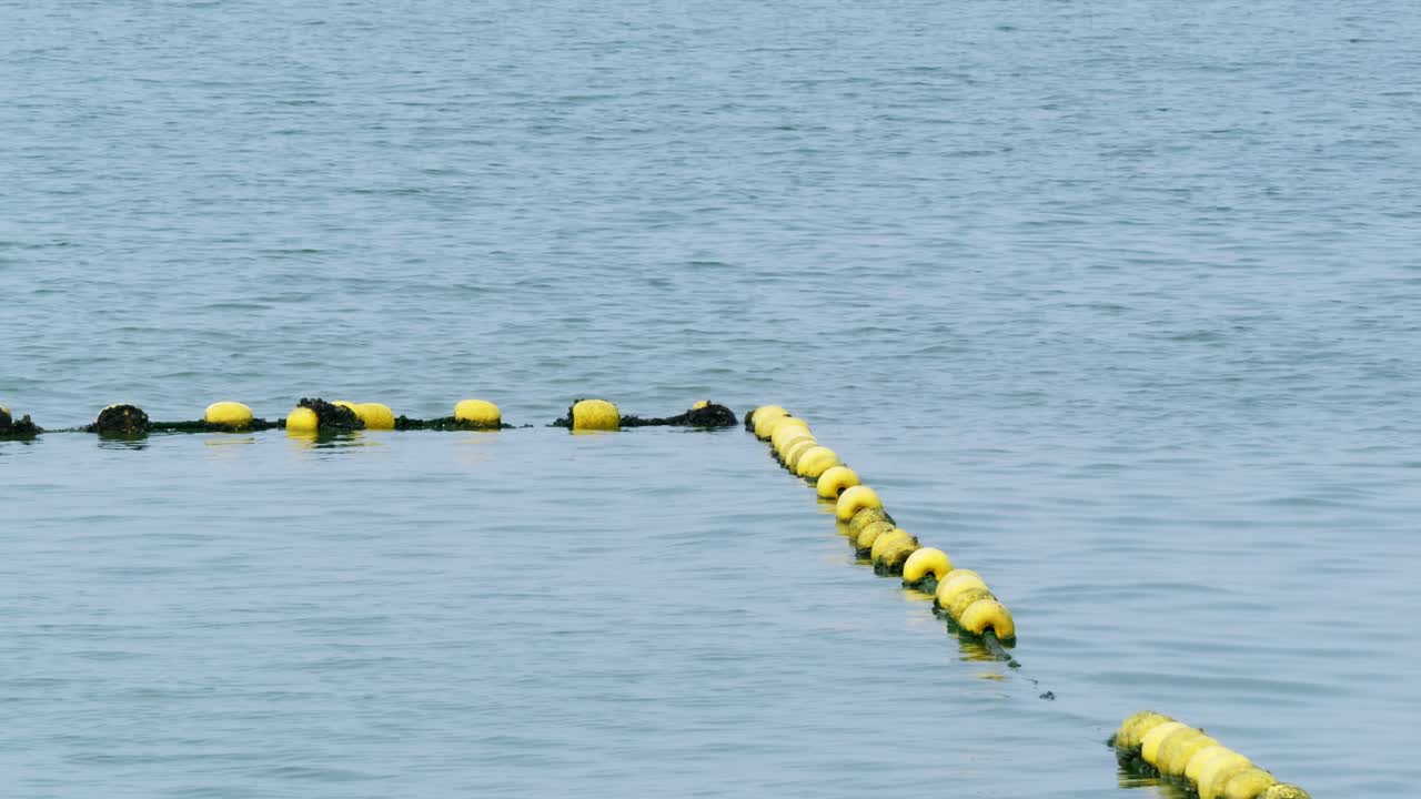 A safety measure in the calm coastal waters showcasing marine installations to protect aquatic life.