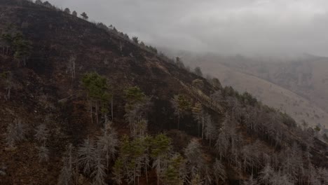 Effect-of-climate-changes-on-hills-after-a-fire-left-land-destroyed