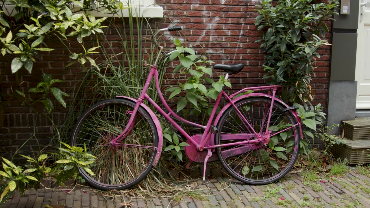 Side on view of Pink bicycle propped up against stone brick wall with overgrowing foliage growing up the wall, on a side-street in Haarlem, Amsterdam