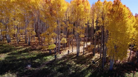 Ciclistas-De-Montaña-Montando-En-Otoño