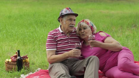 Family-weekend-picnic-in-park.-Active-senior-old-caucasian-couple-sit-on-blanket-and-drink-wine