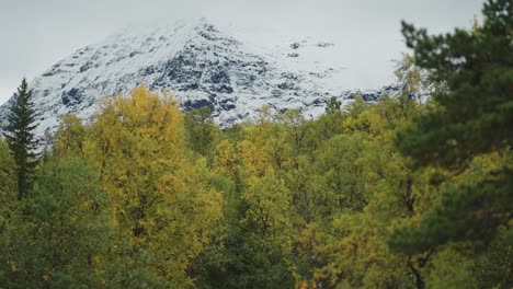 Ein-Atemberaubender-Kontrast-Zwischen-Dem-Frühherbstwald-Und-Den-Schneebedeckten-Bergen