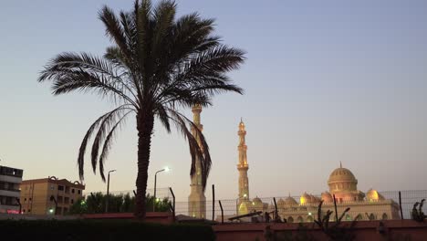 white el mina mosque in hurghada with a palm tree