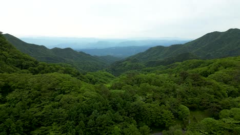 stunning high above drone shot over endless rolling forest with mountains