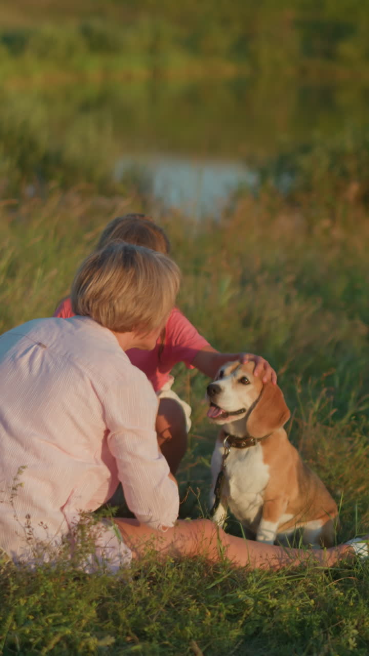 가족이 비글과 함께 야외 시간을 즐기고 있습니다. 여자는 개와 키스하고 장난스럽게 상호 작용합니다. 어린 소녀는 개의 머리를 문지르면서 두 번째 여자는 그들을 사랑스럽게 지켜보고 있습니다.