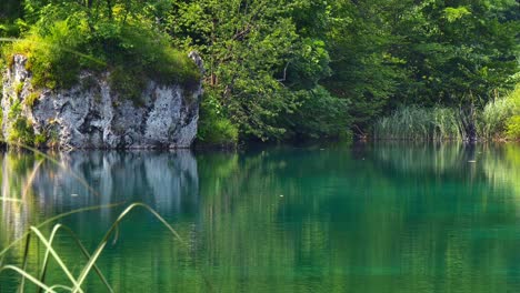 pequeño lago tranquilo en el parque nacional de los lagos de plitvice - croacia