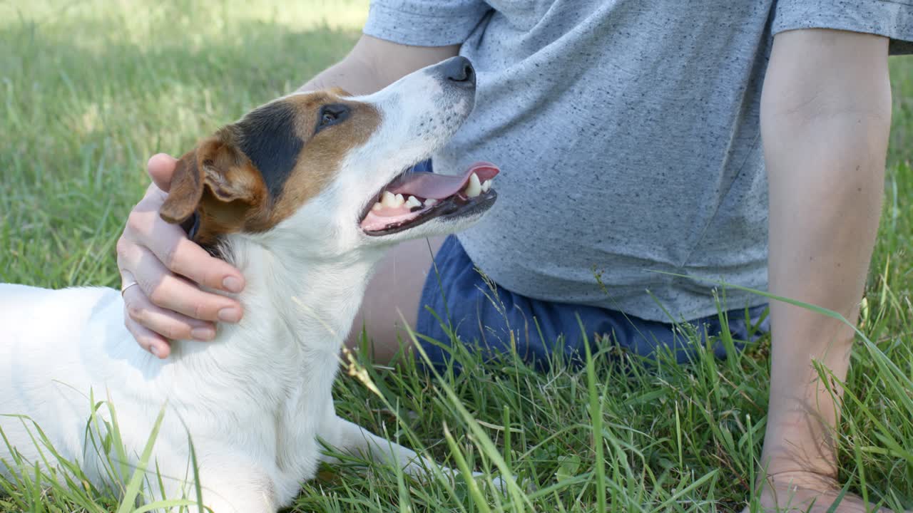 Woman with her dog on the grass