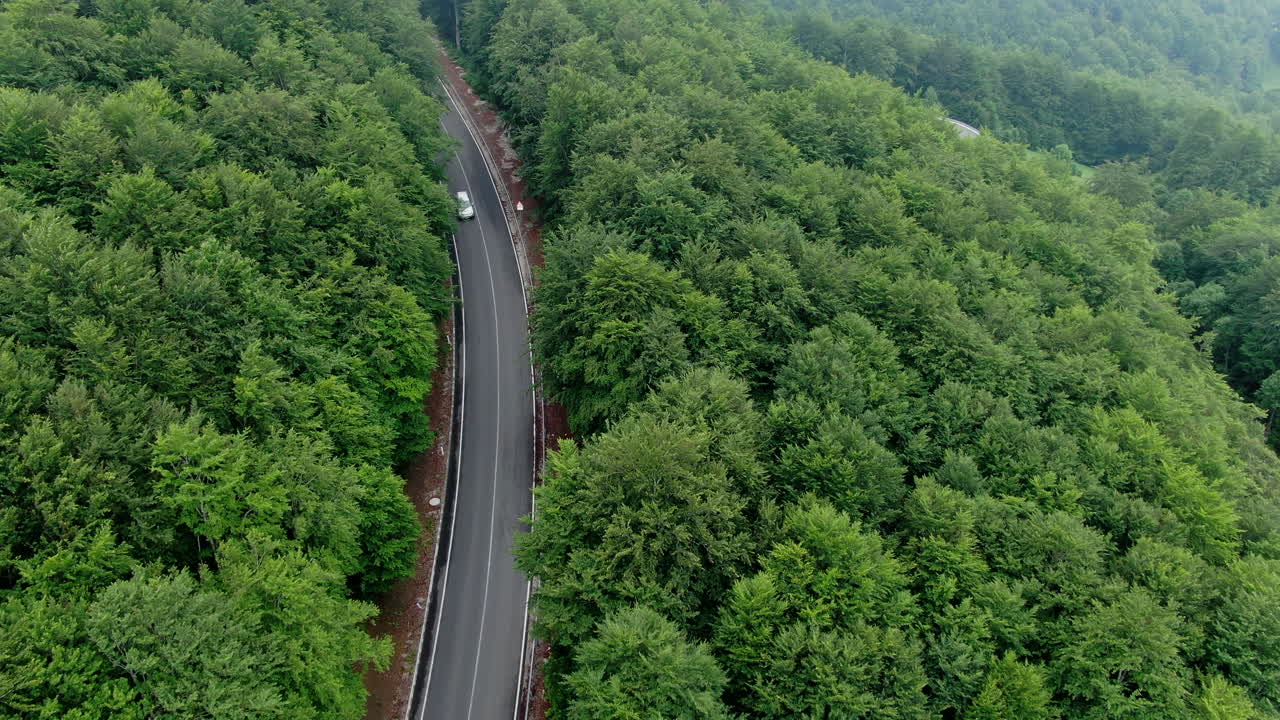 A road winds through a dense forest with a white car driving uphill and a red car coming downhill The view is from above showing the expanse of trees