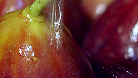 fresh water crashing against skin surface of plant fruit stem and shrub