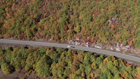 Auto-Mit-Boot-Auf-Anhänger-Fährt-Durch-Waldlandschaft,-Antenne