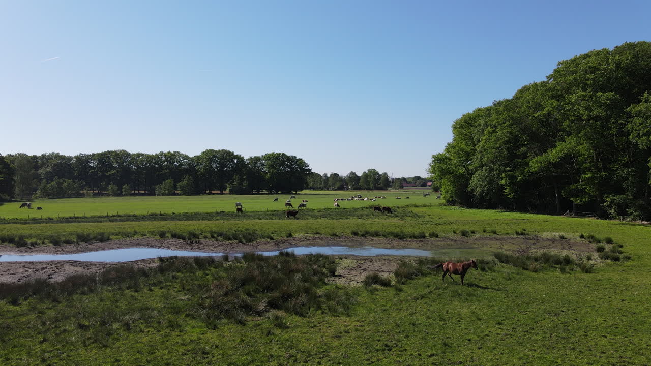 Drone shot of rural forest and fields.