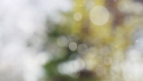 Abstract summer background with bokeh