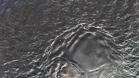 Bubbles rise from a diver hidden beneath dark, forming a circular disruption on the surface. This overhead view captures a mysterious, immersive moment of underwater exploration or emergency descent