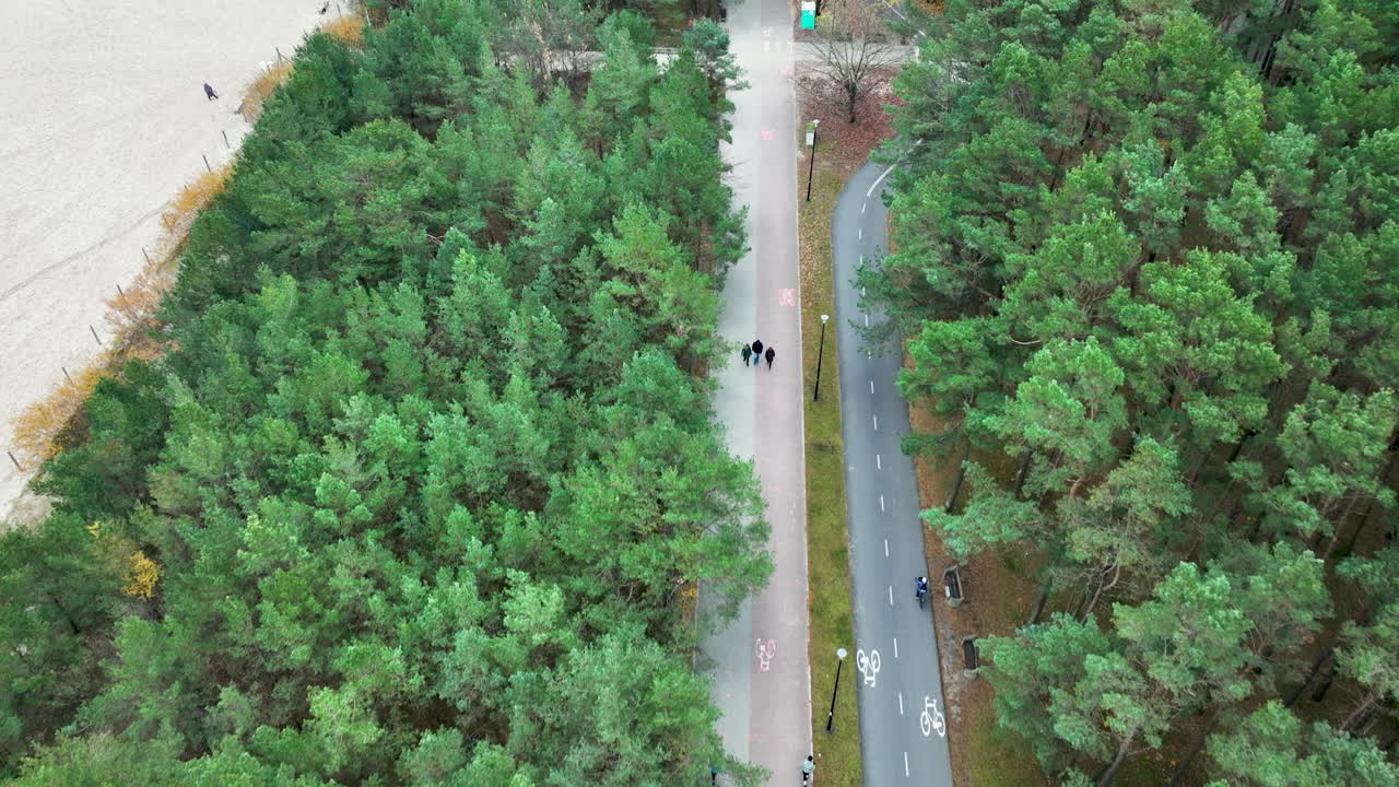 Aerial shot of autumn forest meeting a quiet sandy coastline with soft waves and misty horizon