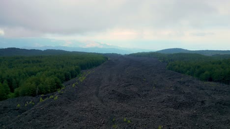 Flujo-De-Lava-Gris-Frío-En-Medio-De-La-Vegetación