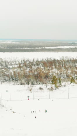 surface lift located on low-angle slope covered with white thick snow among pine trees at ski resort bird eye view